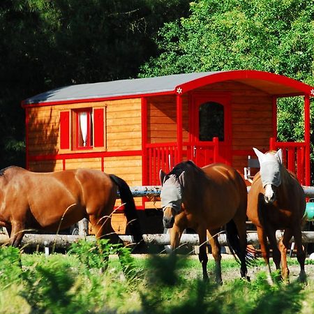 Gypsy Nature B&B Jumelles  Номер фото
