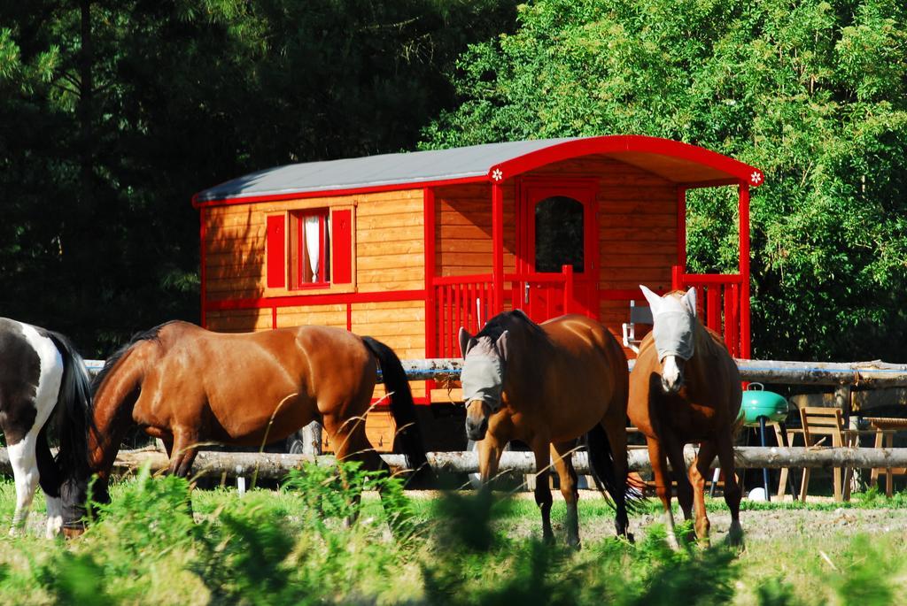 Gypsy Nature B&B Jumelles  Номер фото