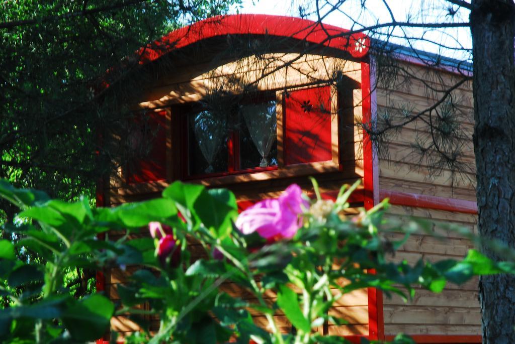 Gypsy Nature B&B Jumelles  Номер фото